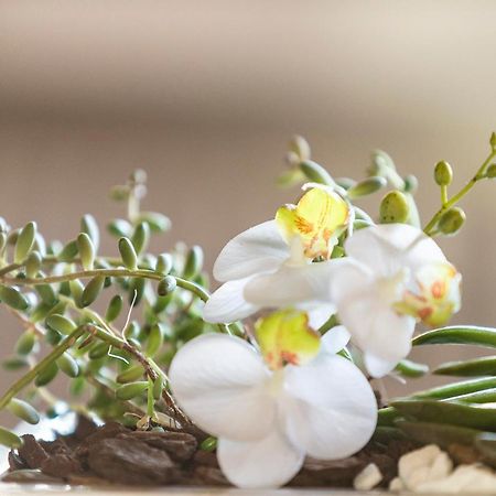 Villa Orselina - Small Luxury Hotel Muralto المظهر الخارجي الصورة